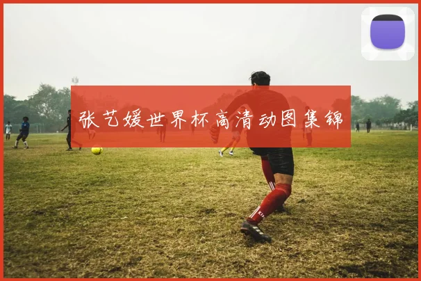 张艺媛世界杯高清动图集锦