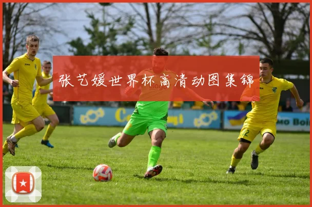 张艺媛世界杯高清动图集锦