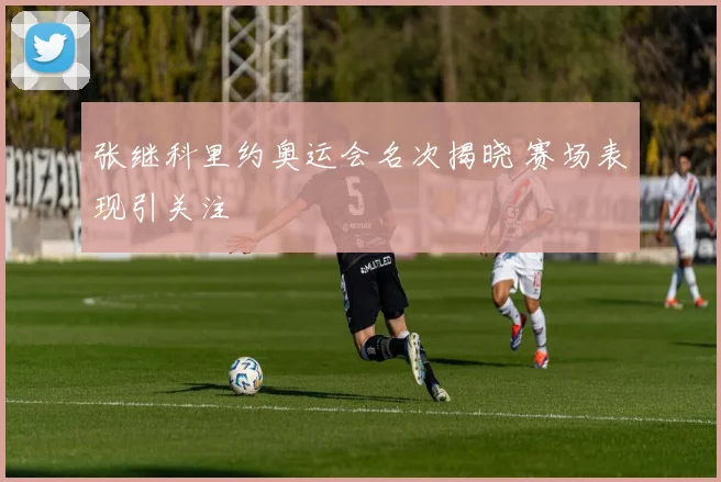 张继科里约奥运会名次揭晓 赛场表现引关注