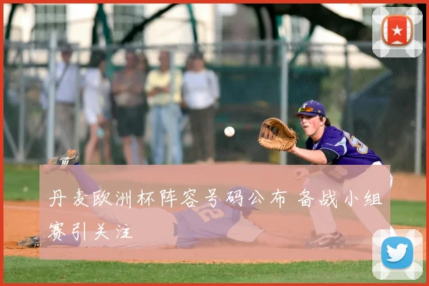丹麦欧洲杯阵容号码公布 备战小组赛引关注