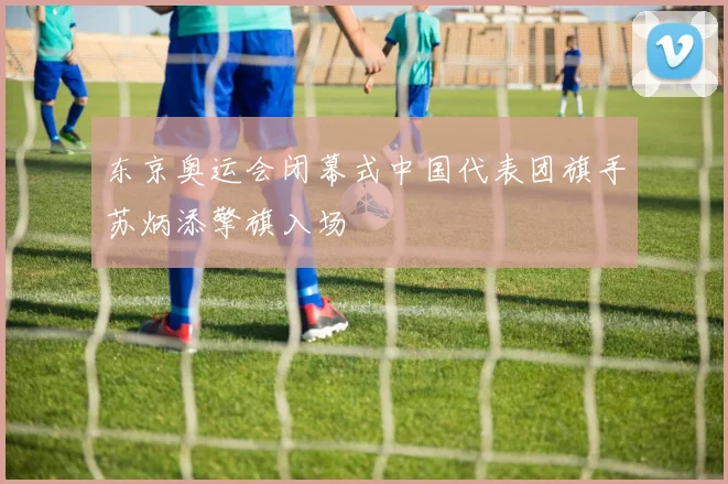 东京奥运会闭幕式中国代表团旗手苏炳添擎旗入场