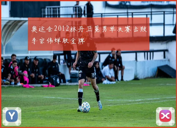 奥运会2012林丹卫冕男单决赛击败李宗伟蝉联金牌